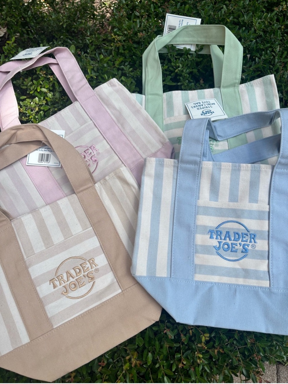 Set of 4 Striped Canvas Tote Bags